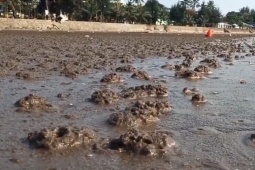Người đàn ông bị sét đánh tử vong ở bãi biển Đồ Sơn
