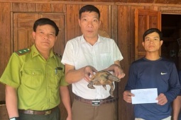 Phát hiện 'báu vật' trên đường vào rẫy