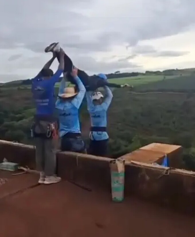 Các nhân viên ném Maria khỏi cầu khi vẫn chưa móc dây an toàn. Ảnh chụp màn hình