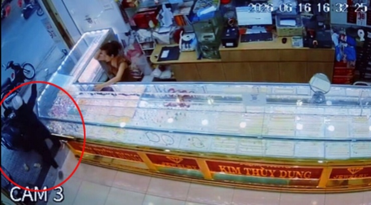 Thảo giật chiếc lắc vàng rồi bỏ chạy