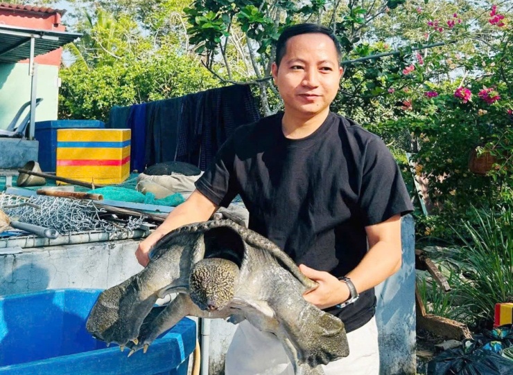 Anh Nguyễn Thanh Bình có thu nhập ổn định từ mô hình nuôi con cua đinh. Ảnh: T.X