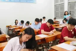 Cách tra cứu điểm thi lớp 10 tại TPHCM năm 2026