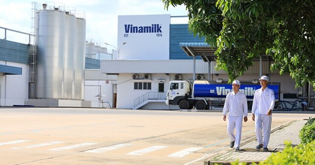 Vinamilk tiếp tục là đại diện duy nhất của ngành sữa Việt Nam trong Fortune 500 Đông Nam Á