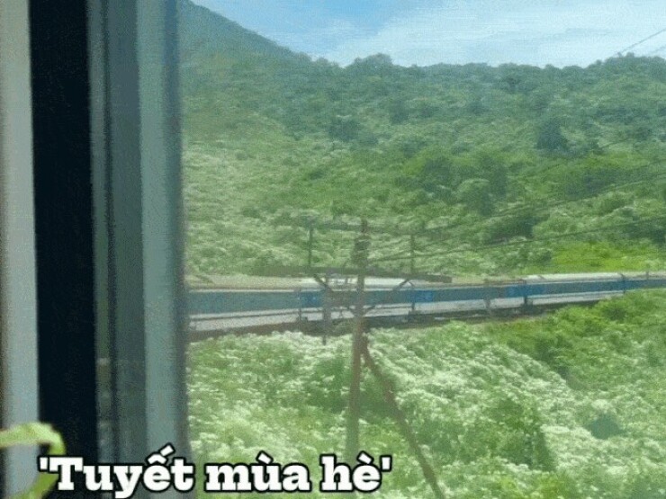 'Tuyết mùa hè' phủ trắng Hải Vân Quan