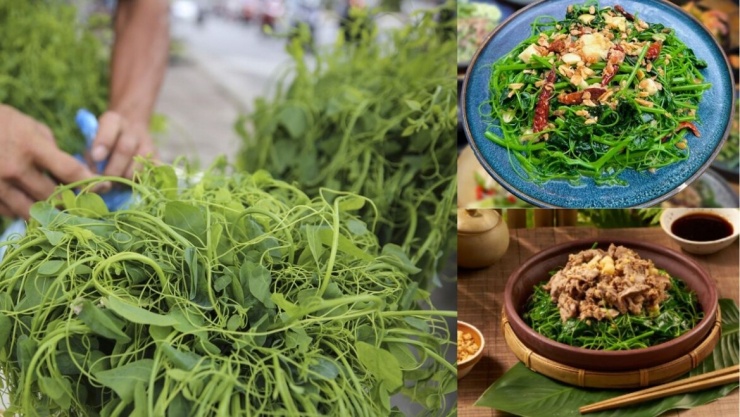 Rau bò khai không phải là rau độc mà còn giàu dinh dưỡng, chứa chất xơ, protein, vitamin C