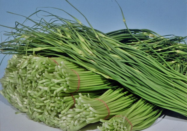 4 loại rau “long lanh bất thường” ngoài chợ: Càng đẹp càng đáng ngờ, người bán đôi khi cũng né ăn - 3