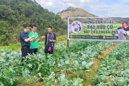Bỏ phố về rừng và hành trình số hóa sản vật vùng cao của chàng trai H'Mông