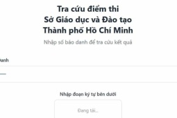 Nghẽn mạng tra cứu điểm thi lớp 10 ở TP HCM