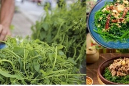 Rau bò khai có gì đặc biệt mà được nhiều người săn tìm đến vậy?