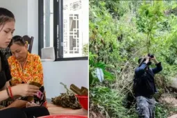 Vì sao không nên vào rừng hoặc ra sông, ra biển trong ngày Tết Đoan Ngọ?