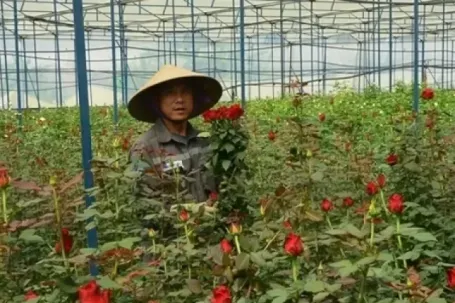 Hành trình lập nghiệp của những người con xa xứ
