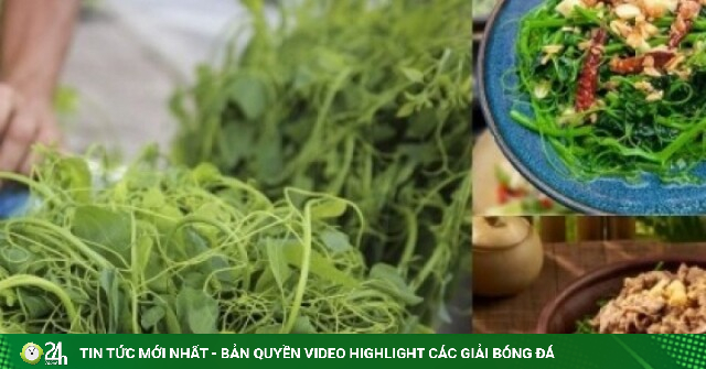 Rau bò khai có gì đặc biệt mà được nhiều người săn tìm đến vậy?