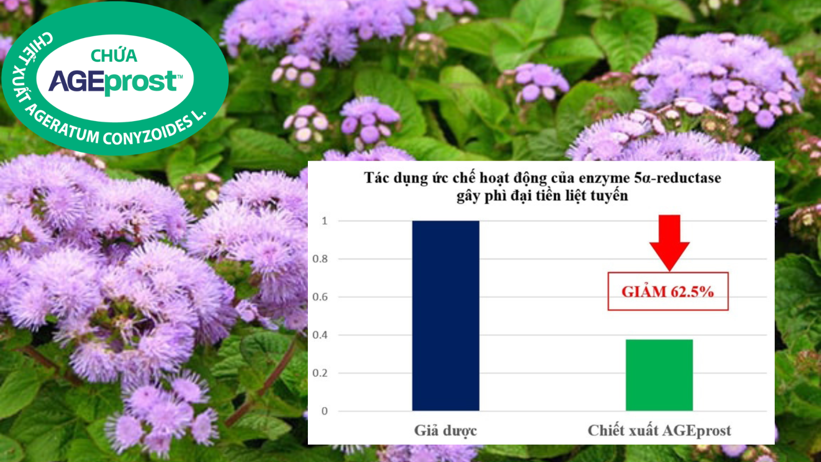 5 siêu thực phẩm giúp quý ông ngăn ngừa nguy cơ phì đại tiền liệt tuyến - 4