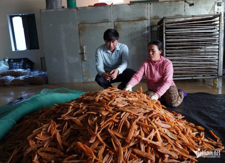 Cơ sở sản xuất của ông Nguyễn Văn Tuấn, thôn Tân Định mỗi năm bán ra thị trường hơn 15 tấn khoai deo thành phẩm. Ảnh: L.C