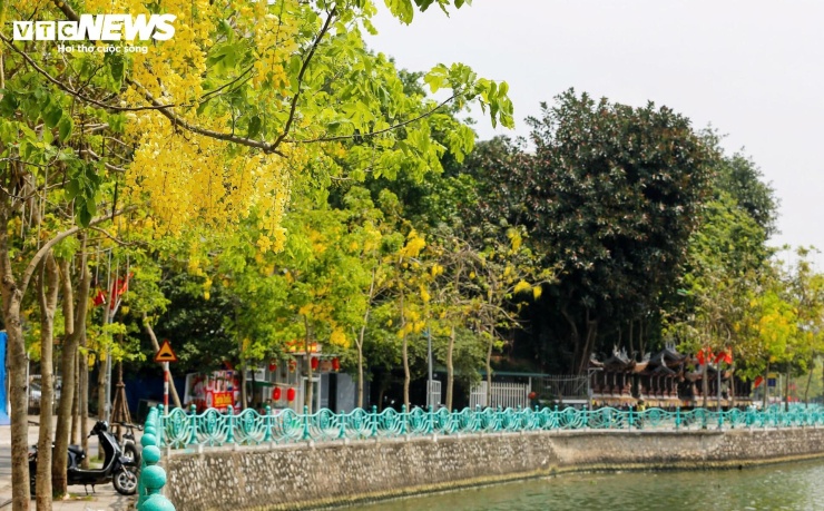 Nhiều đoạn đã được đầu tư lan can, vỉa hè và hệ thống cây xanh, tạo thành cung đường được đông đảo người dân và du khách lựa chọn để tham quan, tập thể dục, ngắm cảnh.