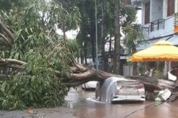 Mưa giông quật đổ hàng chục cây xanh, đè hai ôtô