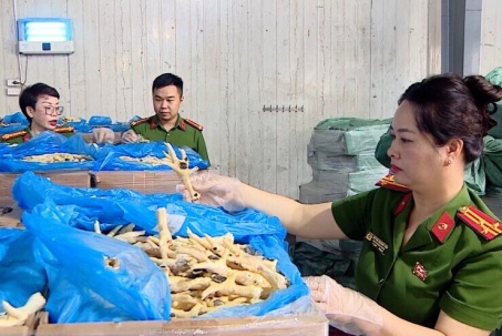 Lời khai của nữ giám đốc bán hơn 10.000 tấn chân gà 'bẩn' ra thị trường