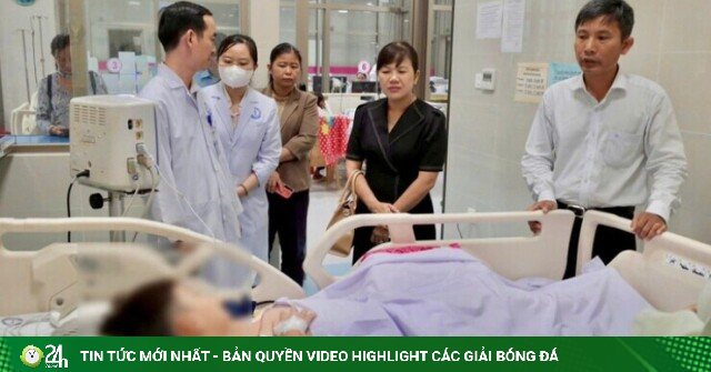 Vụ gần 300 người nghi ngộ độc bánh mì ở Đồng Tháp: Phát hiện vi khuẩn Salmonella