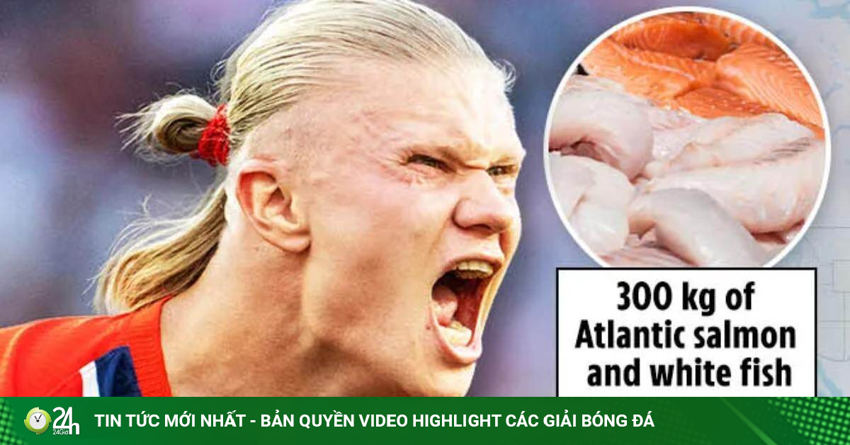 Na Uy mua 6.000 quả cam, mang 400kg cá hồi từ quê nhà quyết đua vô địch World Cup