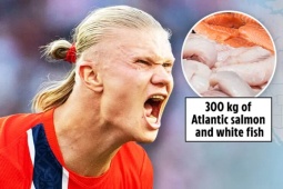Na Uy mua 6.000 quả cam, mang 400kg cá hồi từ quê nhà quyết đua vô địch World Cup
