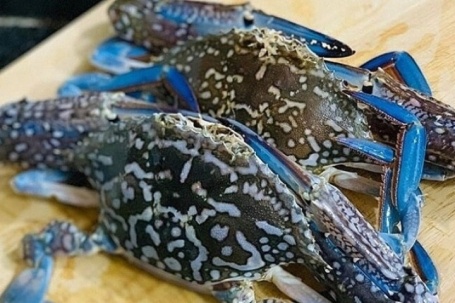 Xuất khẩu ghẹ Việt sang Mỹ tăng mạnh