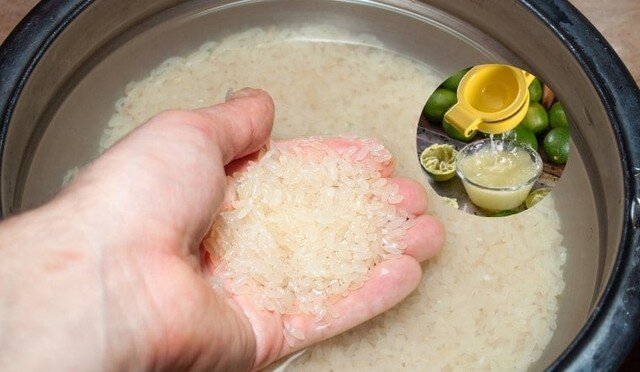 Trước khi nấu, bạn cho một thìa cà phê nước cốt chanh vào nồi cơm rồi khuấy đều, đóng nắp lại và nấu cơm như bình thường
