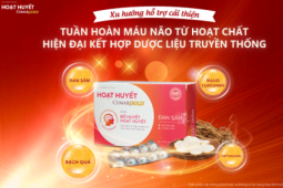 Xu hướng hỗ trợ cải thiện tuần hoàn máu não từ hoạt chất hiện đại kết hợp dược liệu truyền thống