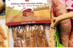 Vùng cát nghèo hóa “mỏ vàng” nhờ một loại khoai lạ