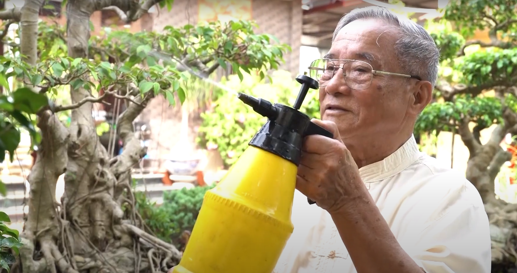 Loại hạt nhỏ trong bếp được nhiều quốc gia “săn lùng” vì siêu bổ dưỡng cho bàng quang - 6
