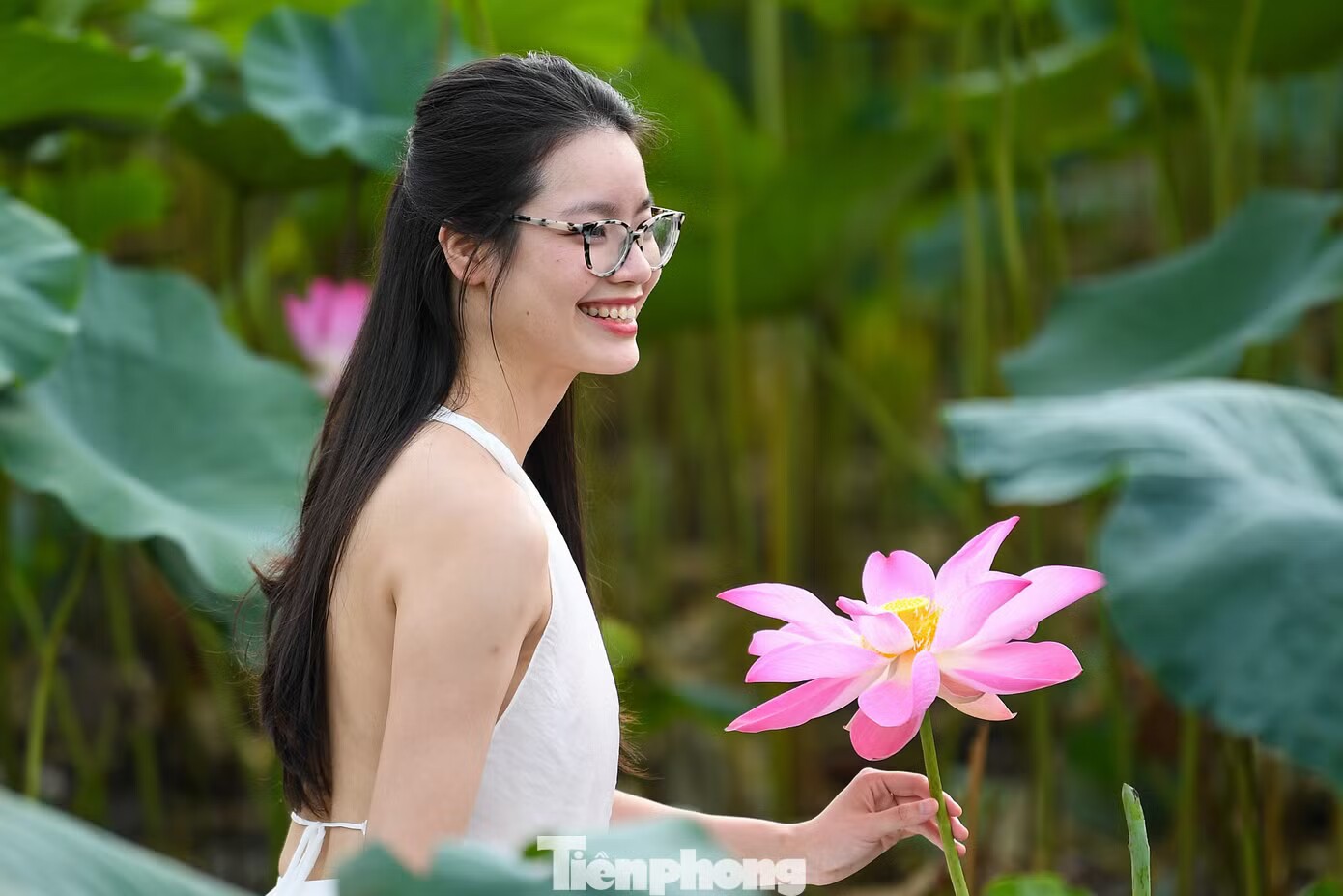 Giới trẻ chi tiền triệu chụp bộ ảnh sen Hồ Tây - 6