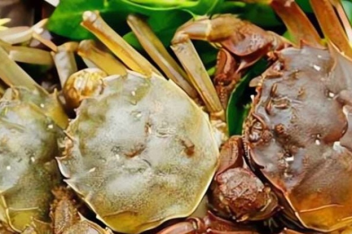 Con cua Cà Ra là loài vật gì có ở con sông Càn, sông Trinh, sông Bút, sông nhà Lê, vùng Yên Mô cũ, tỉnh Ninh Bình?