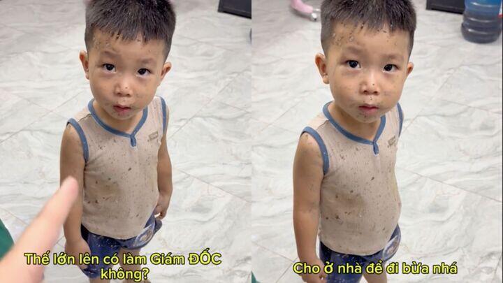 Dân mạng bảo sau chắc làm giám đốc công ty chuyên cày ruộng là vừa hợp lòng mẹ, vừa thỏa ý mình. (Ảnh chụp màn hình)
