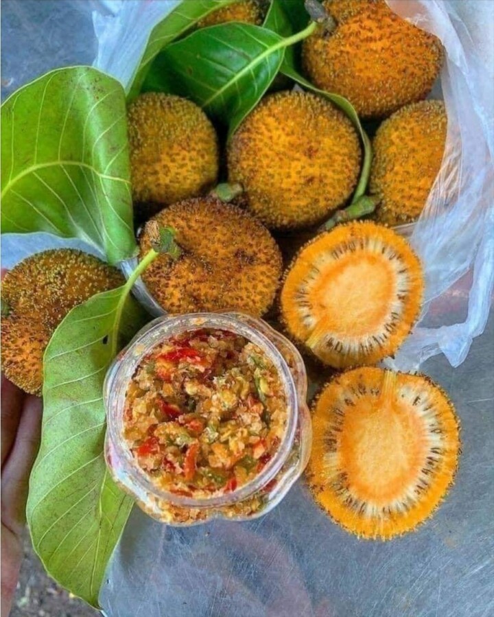 Quả gáo khi chín có màu vàng ươm rất đẹp mắt. (Ảnh minh họa)