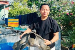 Từ 40 triệu đồng, chàng trai 'đổi đời' nhờ nuôi con đặc sản dân nhậu thích mê