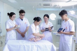 Mức học phí dự kiến năm học 2026-2027 các trường khối Y - Dược