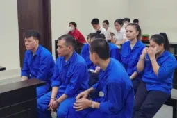Phạt 14 năm tù người từng bán thận lại cầm đầu đường dây bán thận