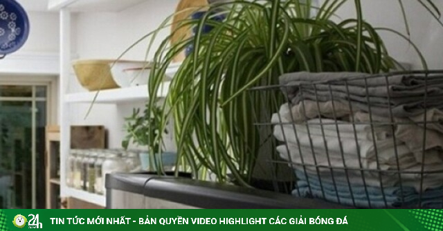 5 vật đại kỵ đặt trên nóc tủ lạnh: Tủ thì nhanh hỏng, tài lộc thì 'đội nón ra đi'