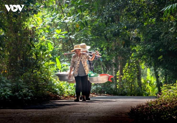 Trải nghiệm phiên chợ độc đáo này, anh Trầm Văn Tính (28 tuổi, ở Vĩnh Long) hào hứng chia sẻ: "Giữa cái se lạnh của sương sớm của Núi Cấm, được cầm trên tay chiếc bánh bò thốt nốt nóng hổi, thơm lừng rồi chậm rãi thưởng thức quả thực là một trải nghiệm tuyệt vời, xua tan đi mọi mệt mỏi của chặng đường dốc".
