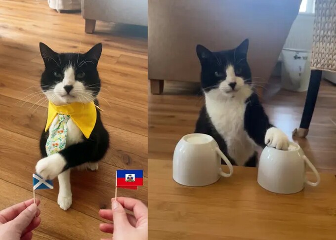 Billy với 'thần thái tự tin' khi chọn đội bóng sẽ chiến thắng ở mỗi trận World Cup. Ảnh chụp màn hình