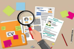 6 điều nhà tuyển dụng không muốn thấy ở CV của bạn