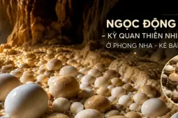 TP NOW: Hàng trăm ‘quả trứng’ bí ẩn nằm sâu trong hang động Phong Nha là gì?