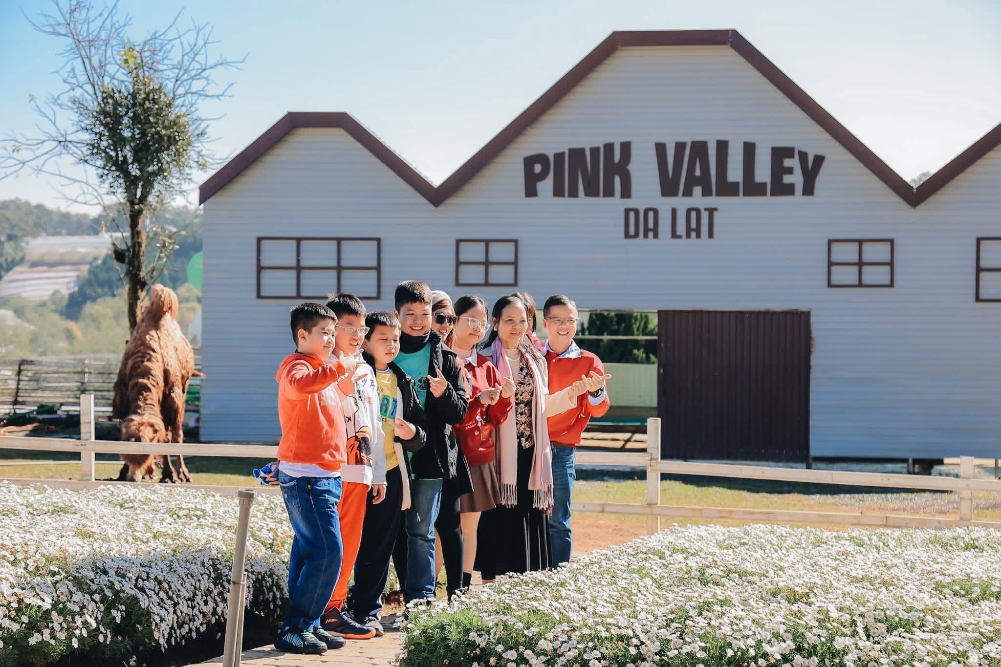 Gia đình lưu lại khoảnh khắc tại Pink Valley