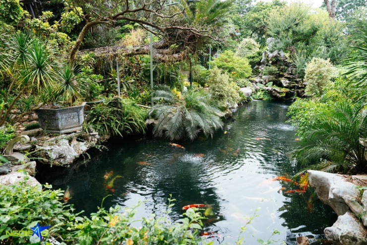 Nhà vườn 25.000 m2 như khu sinh thái của ca sĩ Khánh Ly - 12
