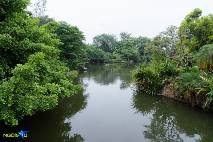 Nhà vườn 25.000 m2 như khu sinh thái của ca sĩ Khánh Ly - 11