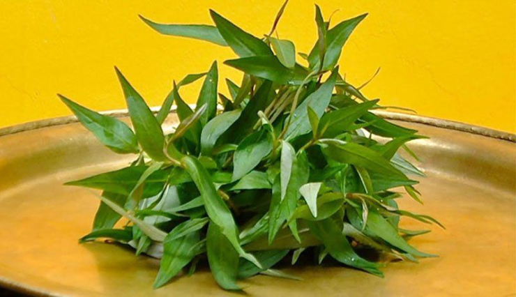 Loại rau gia vị mọc đầy bờ rào, hấp mực thơm phức, thanh ngọt, giữ trọn vị tươi của hải sản - 1