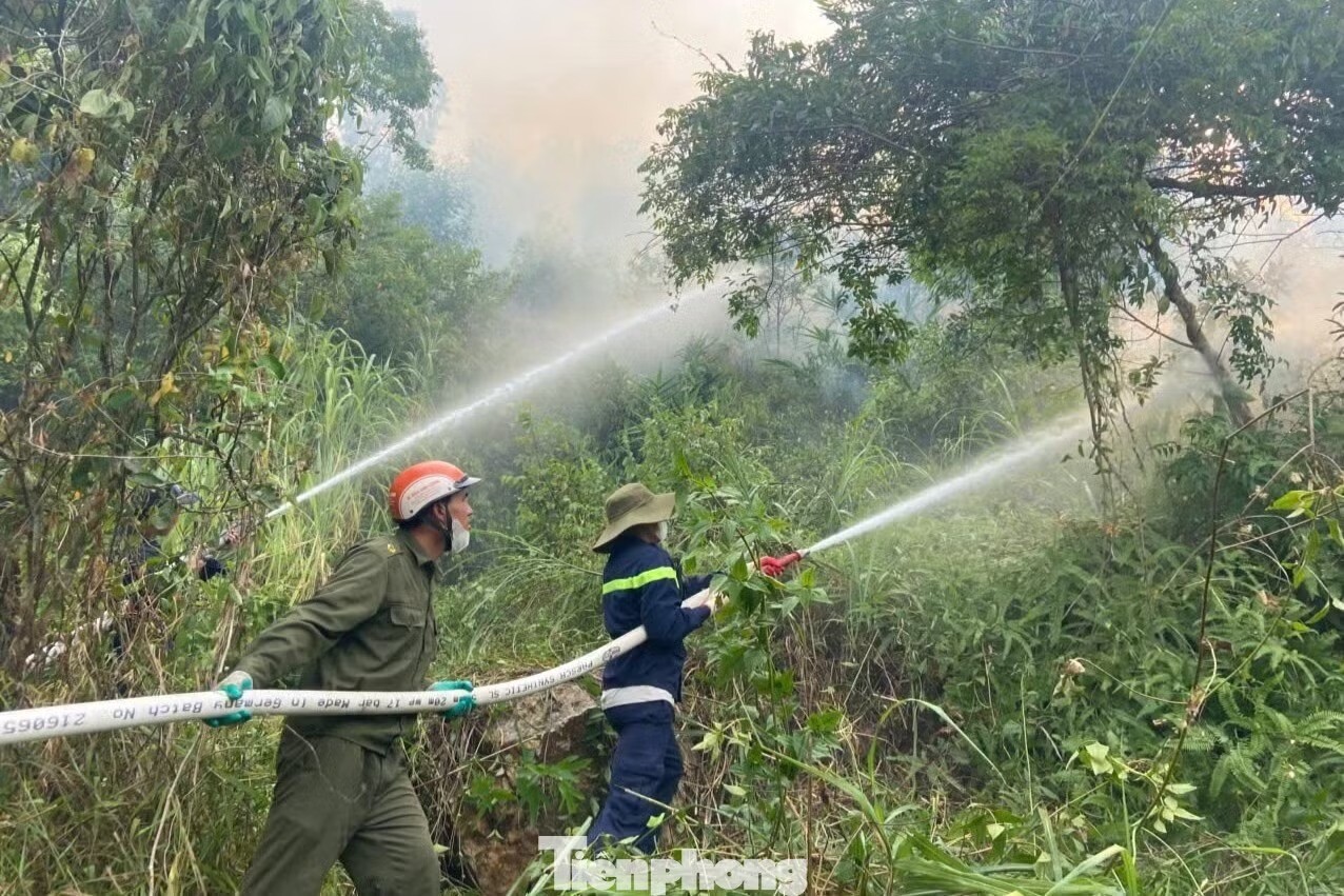 Bức ảnh kiểm lâm ngủ giữa tro tàn sau cháy rừng gây xúc động - 2