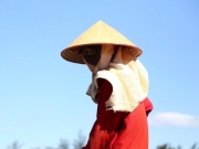 Cảnh người lao động ‘đốt sức’ giữa trời nắng đỉnh điểm