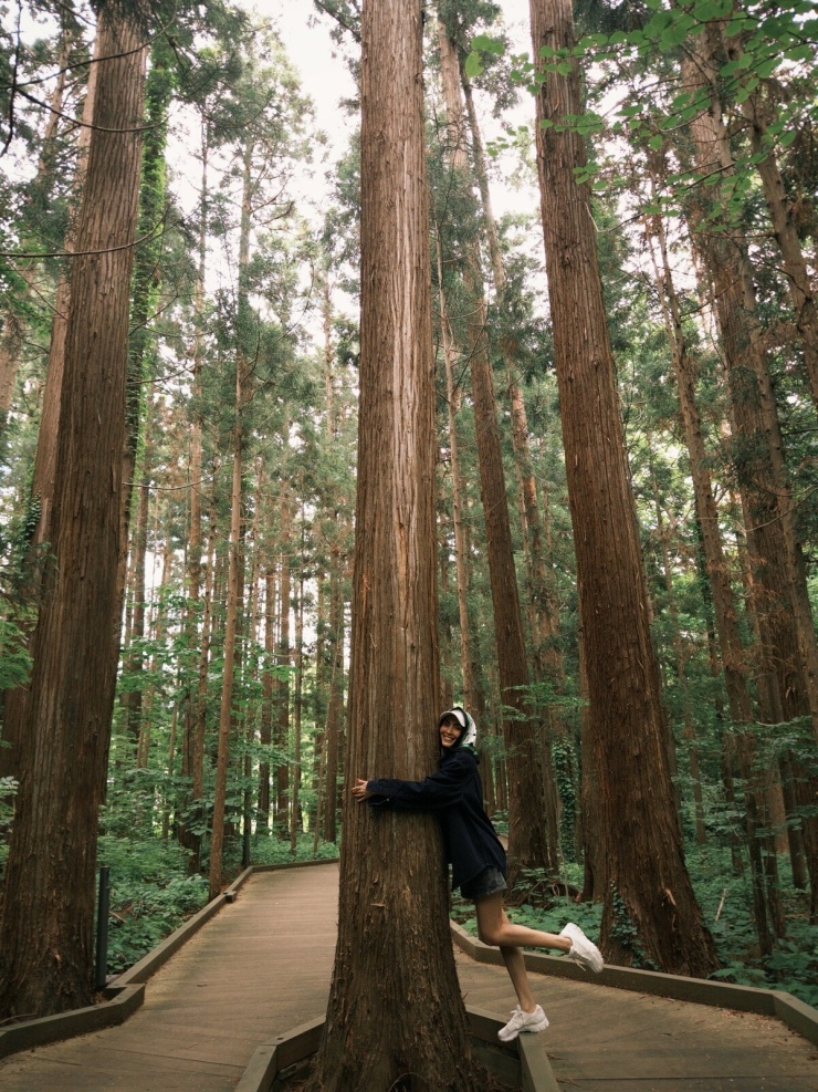 Tăng Thanh Hà 'tắm rừng' Maruyama xanh mướt ở Hokkaido - 2