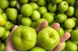 Loại táo có tên lạ rất hút khách ở Khánh Hòa