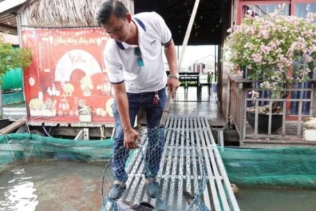 Chàng trai Cần Thơ kiếm 1 tỷ/năm từ mô hình nuôi cá kết hợp du lịch trên sông Hậu